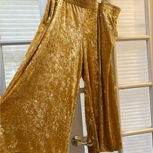 A New Day Shimmering Gold Velvet Pants